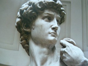 david